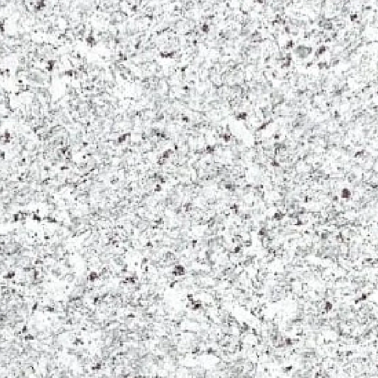 Moon White granite sample