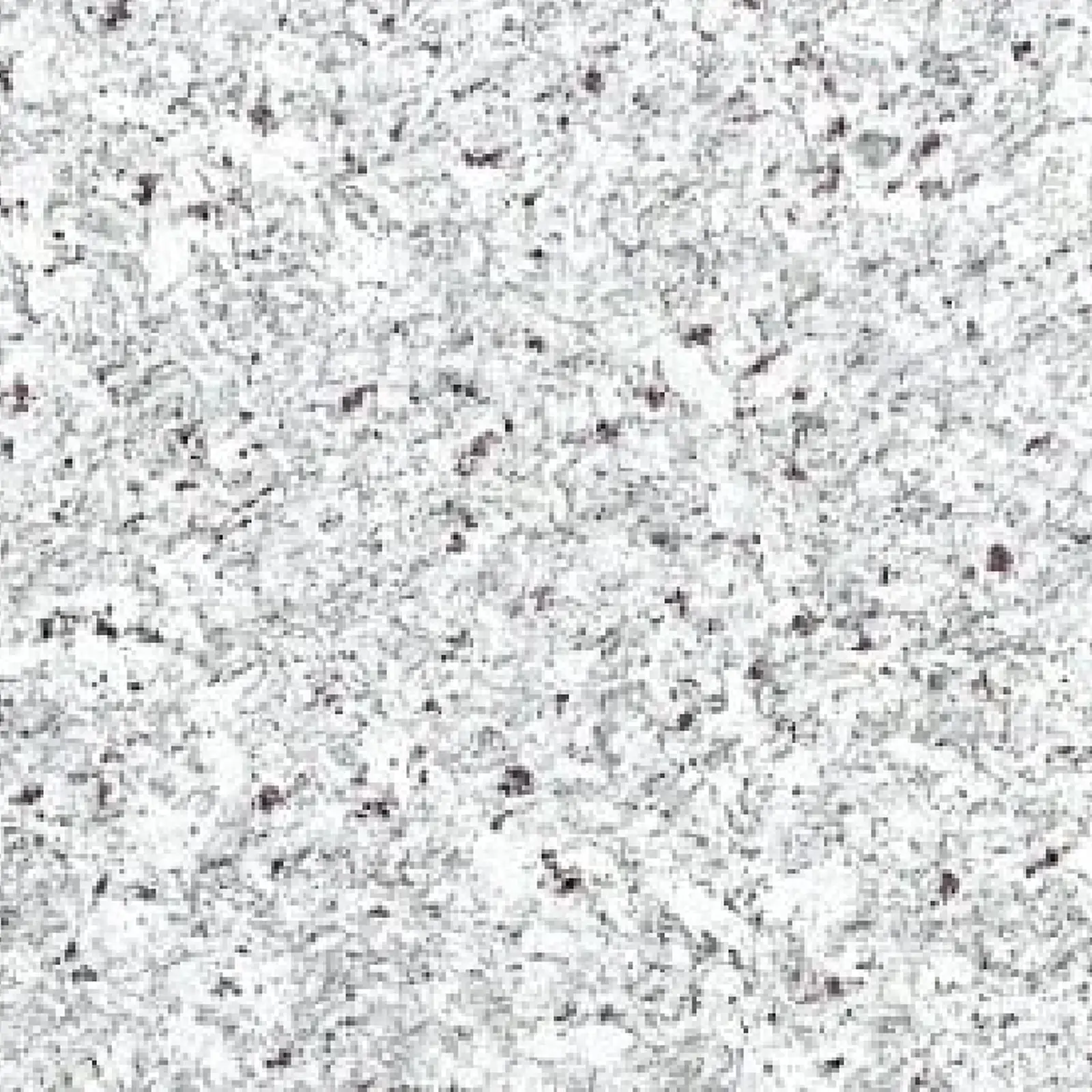 Moon White granite sample