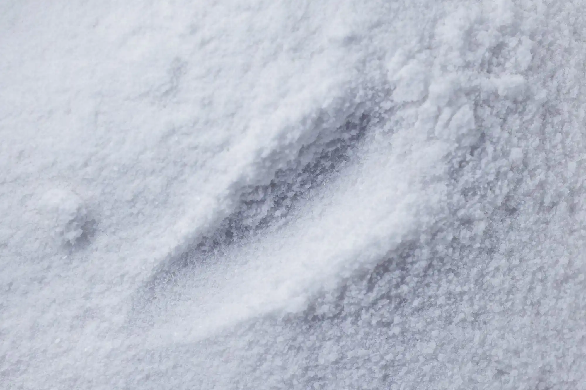 White mineral powder, macro