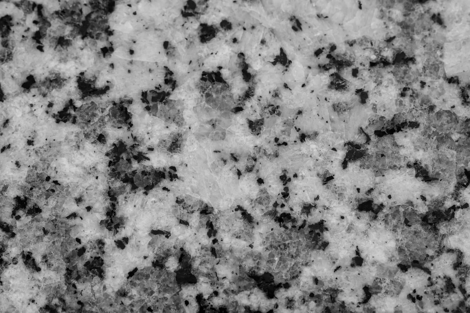 Black and white speckled granite slab
