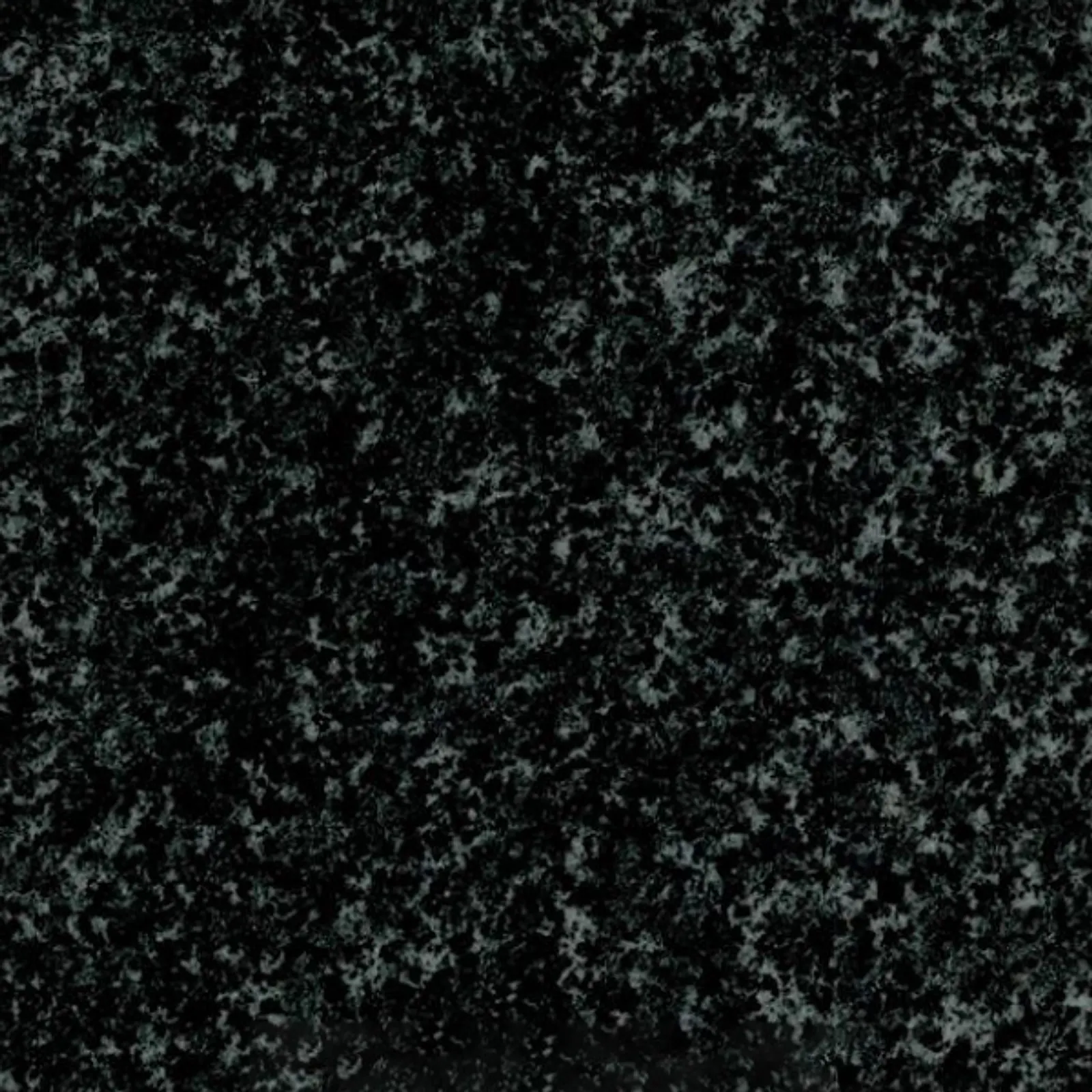 Tiger Black granite sample