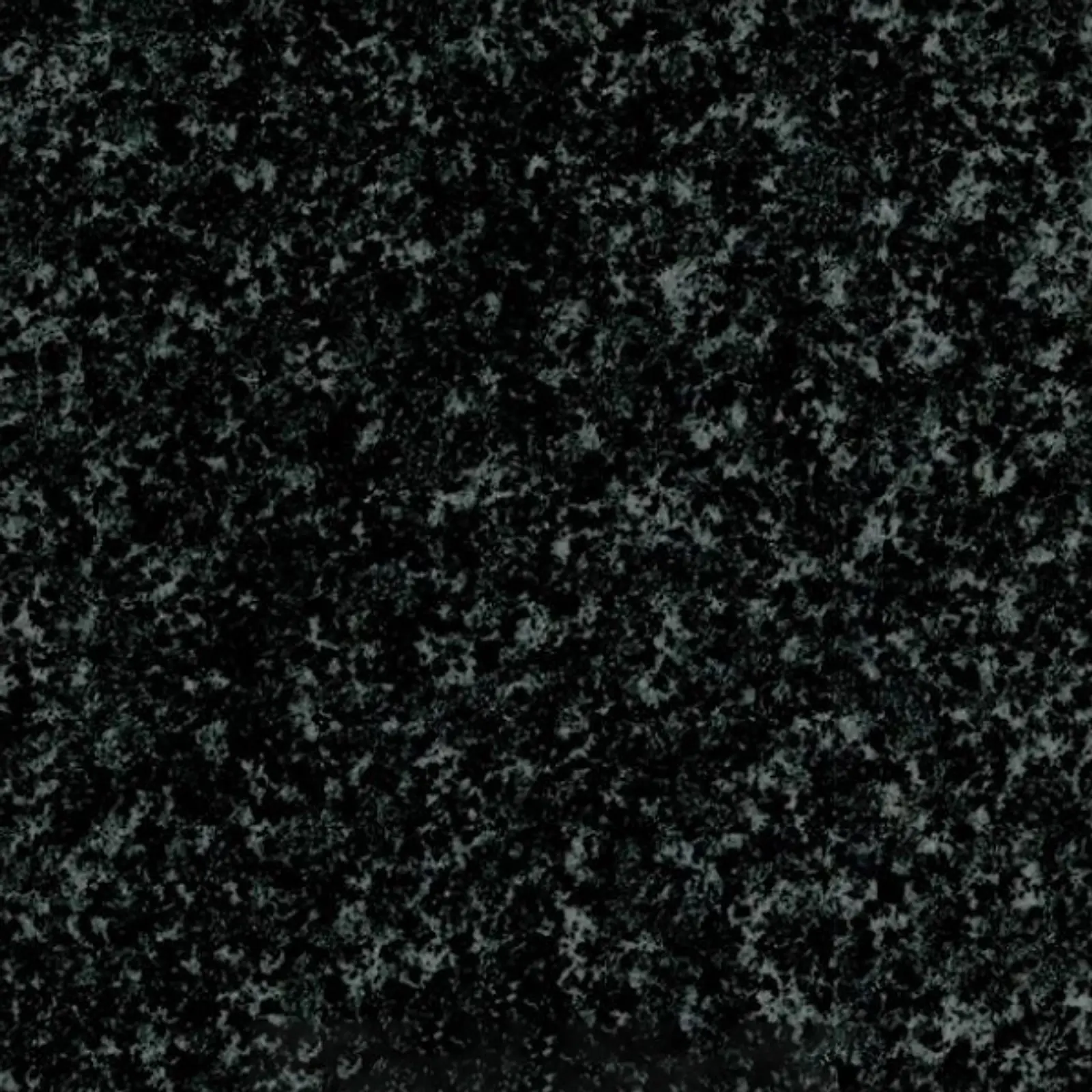 Tiger Black granite sample